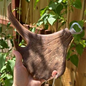 Real antler bottle opener